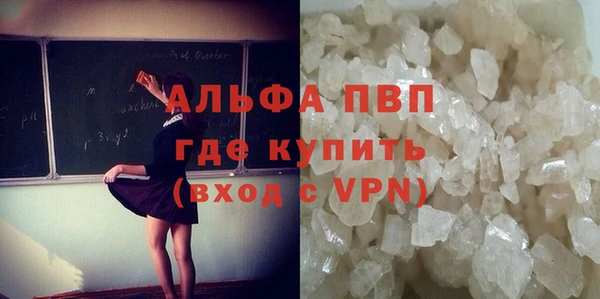 прущие крисы Алзамай