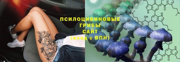 бутират Переславль-Залесский